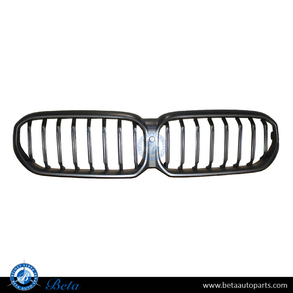 Radiator Grille M-TEK with Camera Hole Silver Color for BMW 5 Series G30 LCI 2021-Up models, Part Number 51129852284 Radiator Grille M-TEK with Camera Hole Silver Color for BMW 5 Series G30 LCI 2021-Up models, Part Number 51129852284